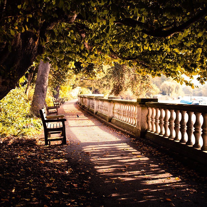 Explore Twickenham twickenham-4.jpg