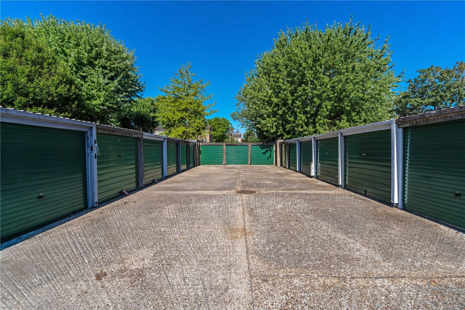 Picture No. 19